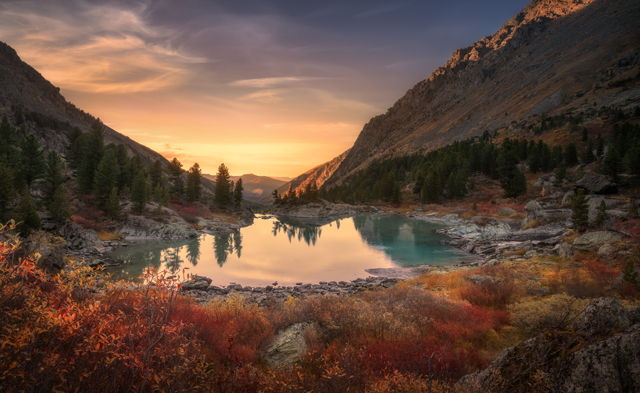 AdobeStock_131556918-2