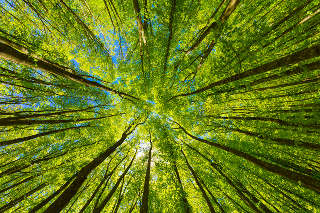 AdobeStock_305060700-2
